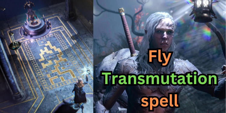 Fly Transmutation spell | Tellagraph.com