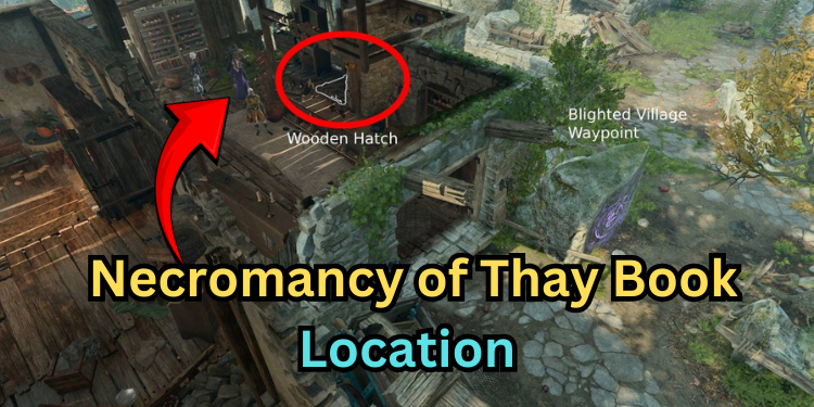 Necromancy of Thay Book Location | Tellagraph.com