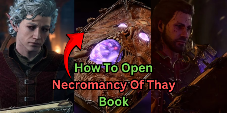 How To Open Necromancy Of Thay Book | Tellagraph.com