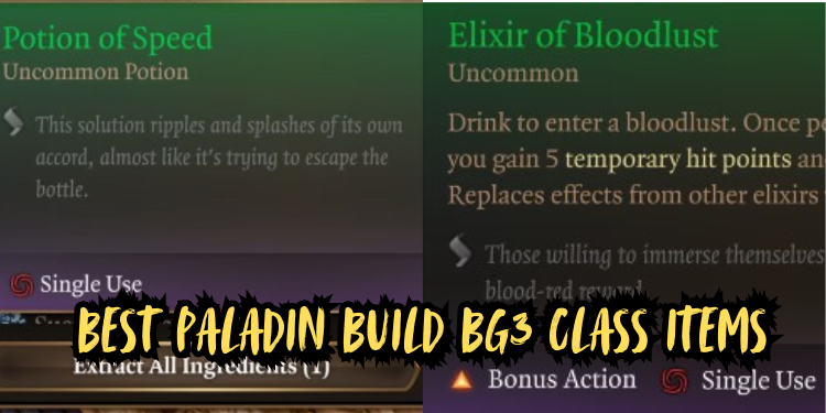 Best Paladin Build Bg3 Class Items | Tellagraph.com