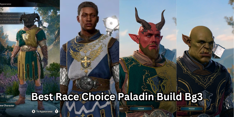 Best Race Choice Paladin Build Bg3 | Tellagraph.com