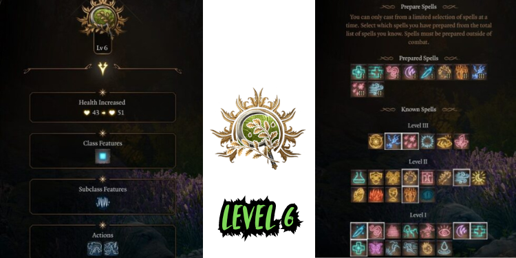 level 6 Best Halsin Build Bg3 | Tellagraph.com