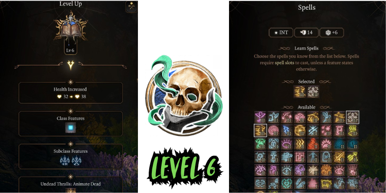 level 6 Best Bg3 Necromancer Build spells | Tellagraph.com