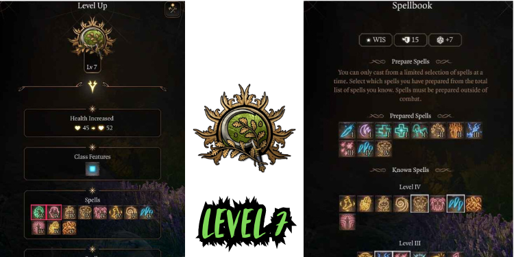 level 7 Best Bg3 Druid Build spells | Tellagraph.com