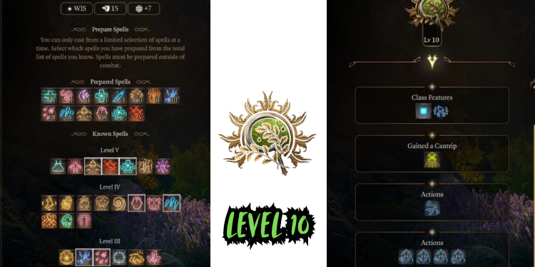 level 10 Best Halsin Build Bg3 | Tellagraph.com