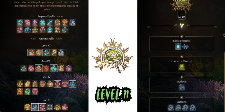 level 11 Best Halsin Build Bg3 | Tellagraph.com