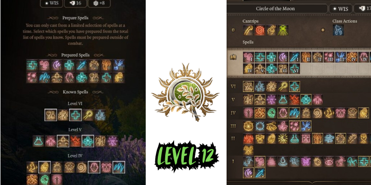 level 12 Best Halsin Build Bg3 | Tellagraph.com