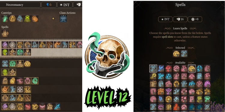 level 12 Best Bg3 Necromancer Build spells | Tellagraph.com