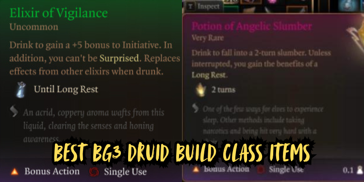 Best Bg3 Druid Build Class Items | Tellagraph.com