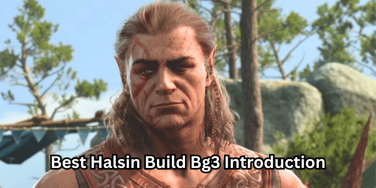 Best Halsin Build Bg3 Introduction | Tellagraph.com