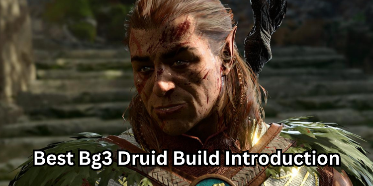 Best Bg3 Druid Build Introduction | Tellagraph.com