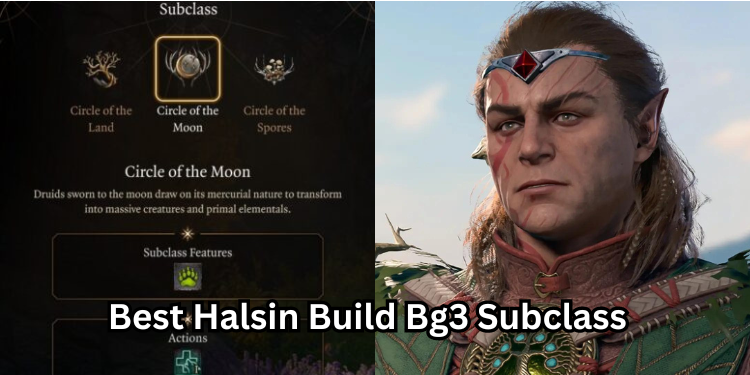 Best Halsin Build Bg3 Subclass | Tellagraph.com