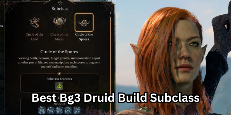 Best Bg3 Druid Build Subclass | Tellagraph.com