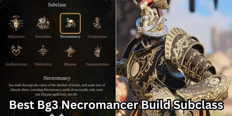 Best Bg3 Necromancer Build Subclass | Tellagraph.com