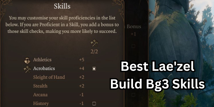 Best Lae'zel Build Bg3 Recommended Skills | Tellagraph.com