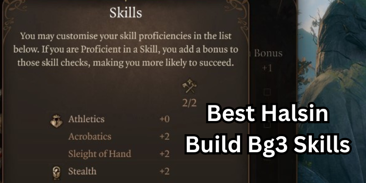 Best Halsin Build Bg3 Recommended Skills | Tellagraph.com