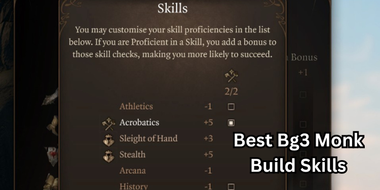 Best Bg3 Monk Build Recommended Skills | Tellagraph.com