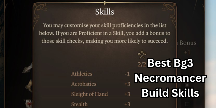 Best Bg3 Necromancer Build Recommended Skills | Tellagraph.com