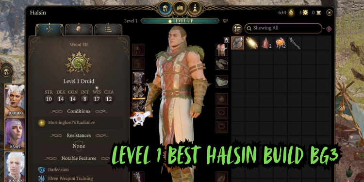 level 1 Best Halsin Build Bg3 | Tellagraph.com