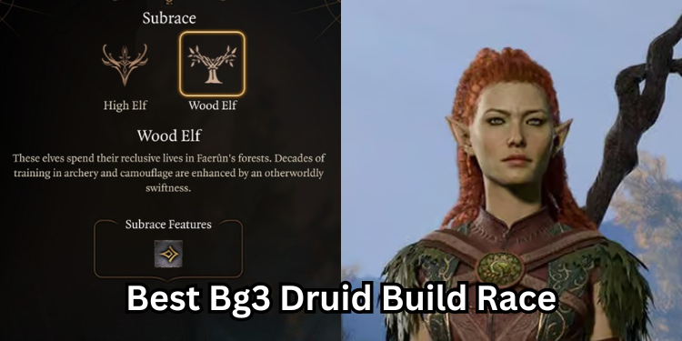 Best Bg3 Druid Build Race | Tellagraph.com