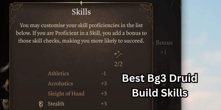 Best Bg3 Druid Build Recommended Skills | Tellagraph.com