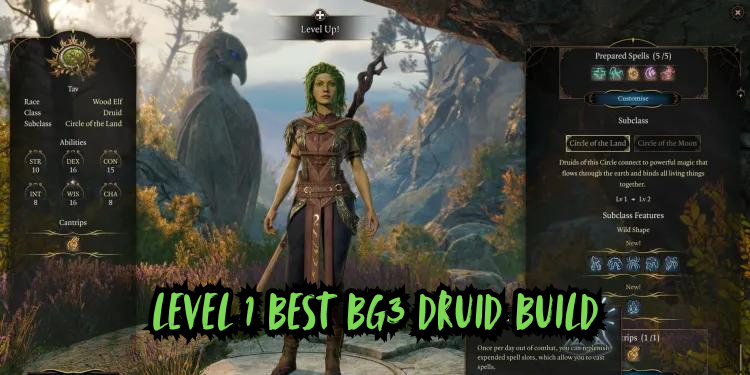 level 1 Best Bg3 Druid Build | Tellagraph.com