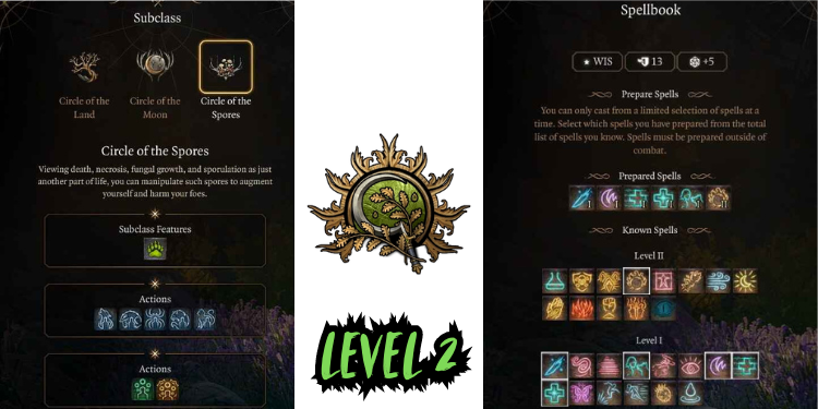 level 2 Best Bg3 Druid Build spells | Tellagraph.com