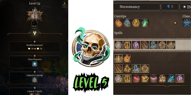 level 5 Best Bg3 Necromancer Build spells | Tellagraph.com