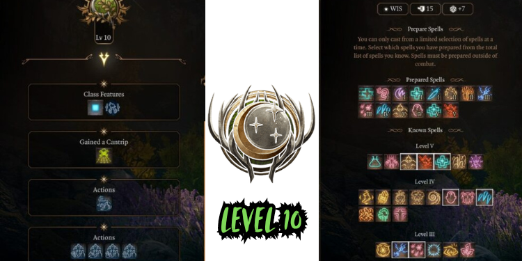 level 10 Best Jaheira Build Bg3 | Tellagraph.com