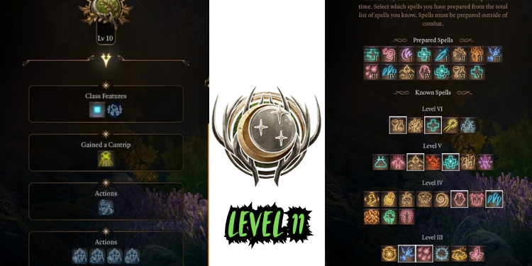 level 11 Best Jaheira Build Bg3 | Tellagraph.com