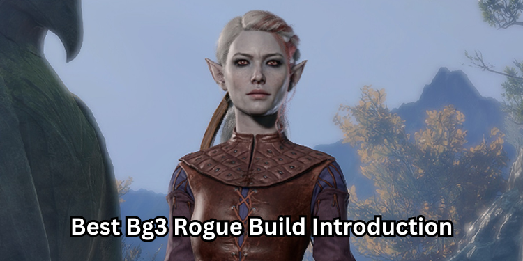 Best Bg3 Rogue Build Introduction | Tellagraph.com