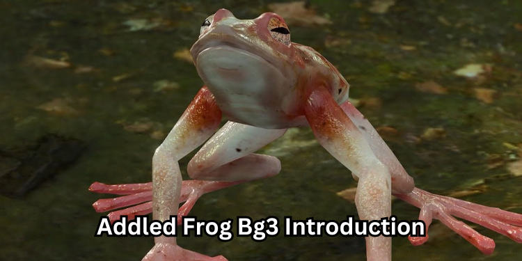 Addled Frog Bg3 Introduction | Tellagraph.com