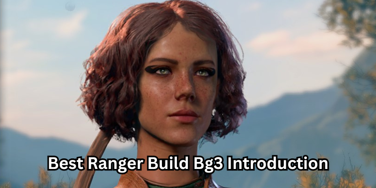 Best Ranger Build Bg3 Introduction | Tellagraph.com