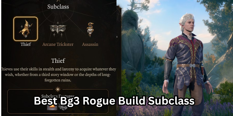 Best Bg3 Rogue Build Subclass | Tellagraph.com