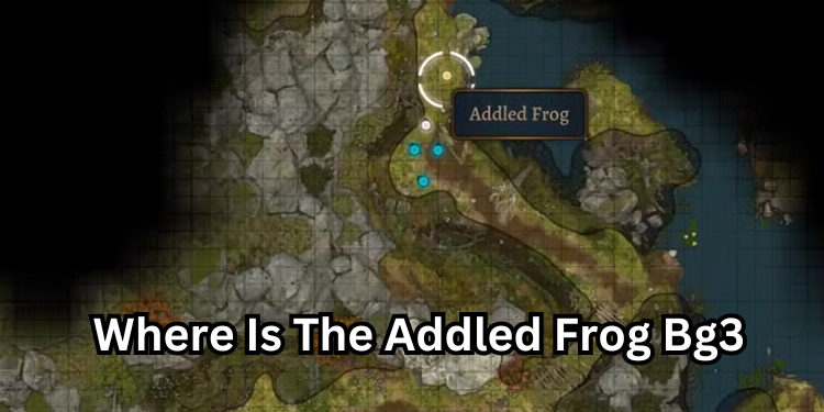 Where Is The Addled Frog Bg3 | Tellagraph.com