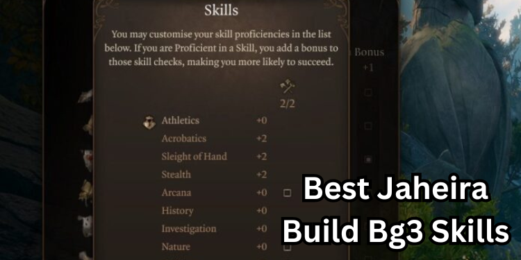 Best Jaheira Build Bg3 Recommended Skills | Tellagraph.com