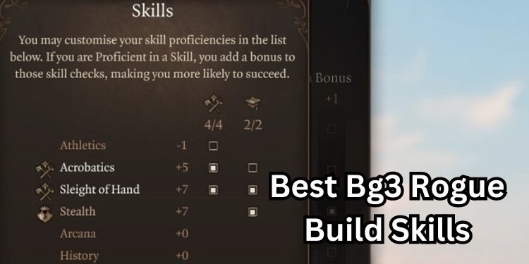 Best Bg3 Rogue Build Recommended Skills | Tellagraph.com