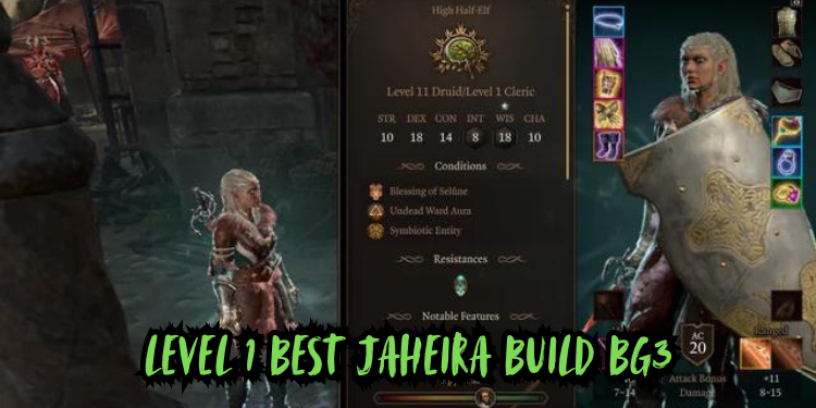 level 1 Best Jaheira Build Bg3 | Tellagraph.com