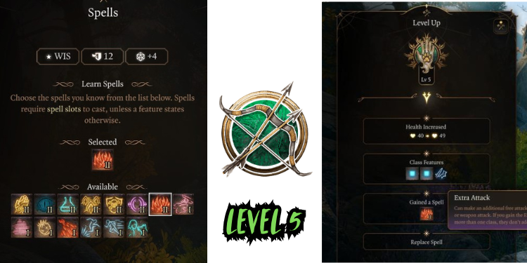 level 5 Best Ranger Build Bg3 | Tellagraph.com