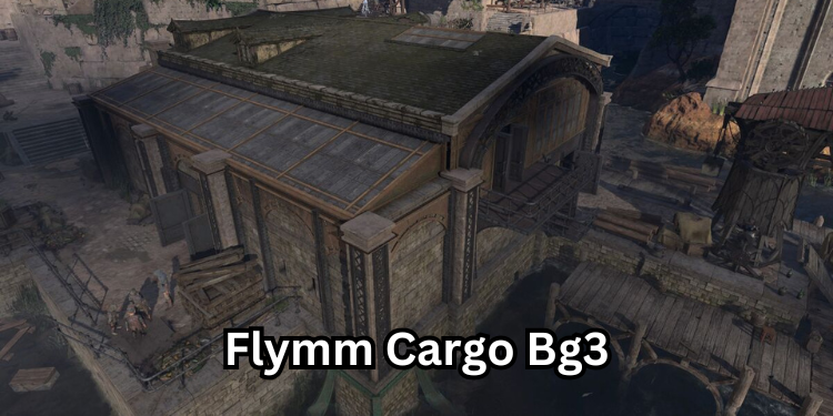 Flymm Cargo Bg3 Infernal Iron Bg3 | Tellagraph.com