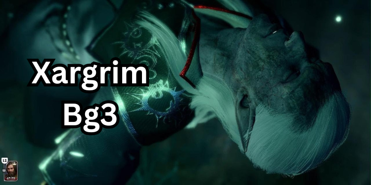 Who Is Xargrim Bg3 | Tellagraph.com