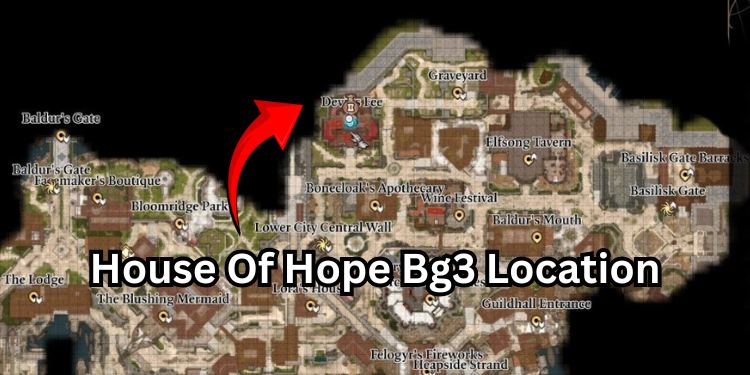 House Of Hope Bg3 Location | Tellagraph.com