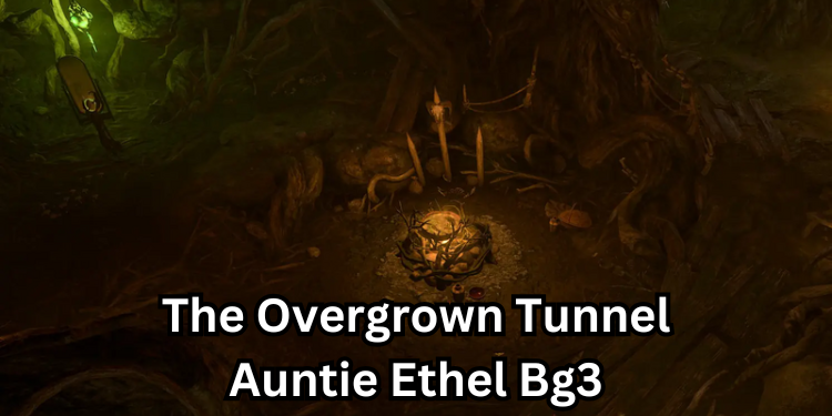 The Overgrown Tunnel Auntie Ethel Bg3 | Tellagraph.com