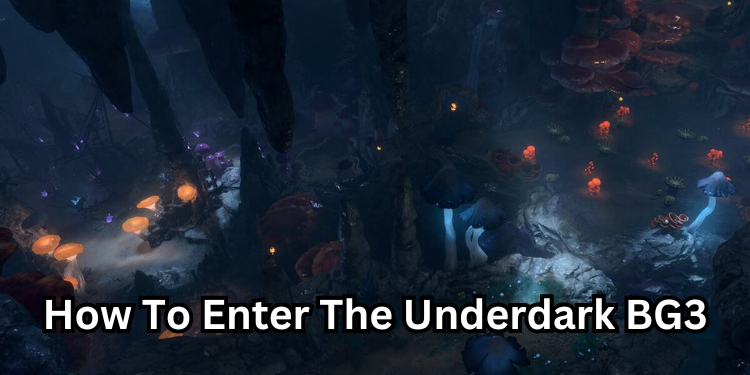 How To Enter The Underdark BG3 | Tellagraph.com