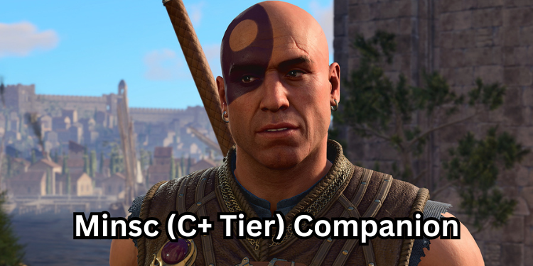 Minsc (C+ Tier) Companion | Tellagraph.com