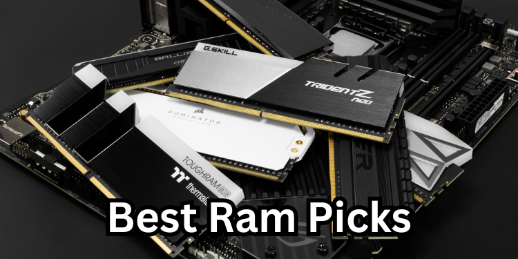 Best Ram Picks | Tellagraph.com